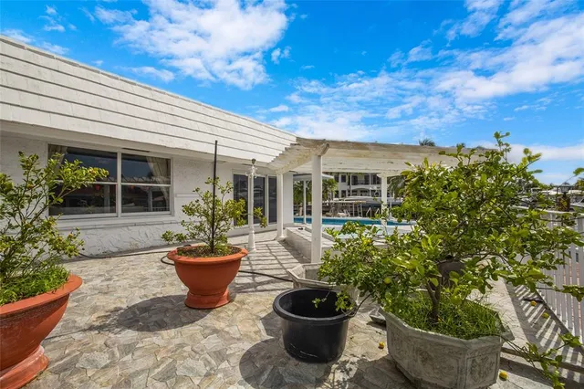 a view of a backyard with garden and plants