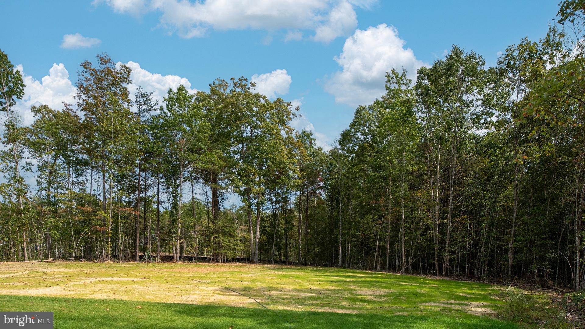 13423 Reconnaissance Ridge Road Fredericksburg, VA 22407 - Photo 28 of 30 Gallery Image 28