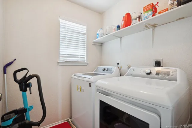 a outdoor space with lots of palm trees