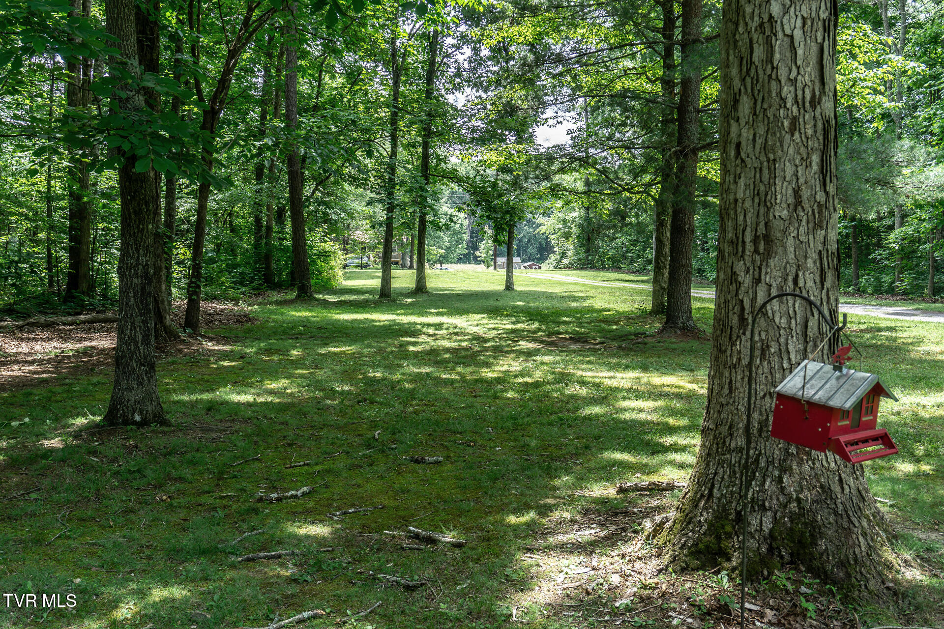 835 Pike Road Greeneville, TN 37745 - Photo 39 of 63 835PikeRdB_011