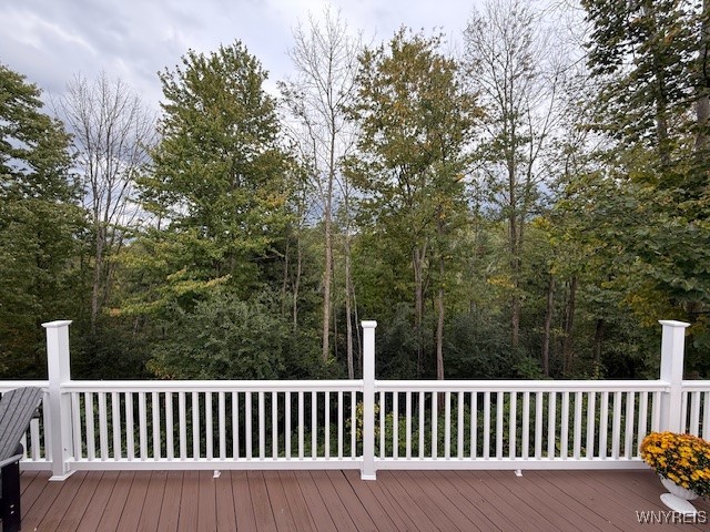 10054 Pratt Road Centerville, NY 14744 - Photo 11 of 26