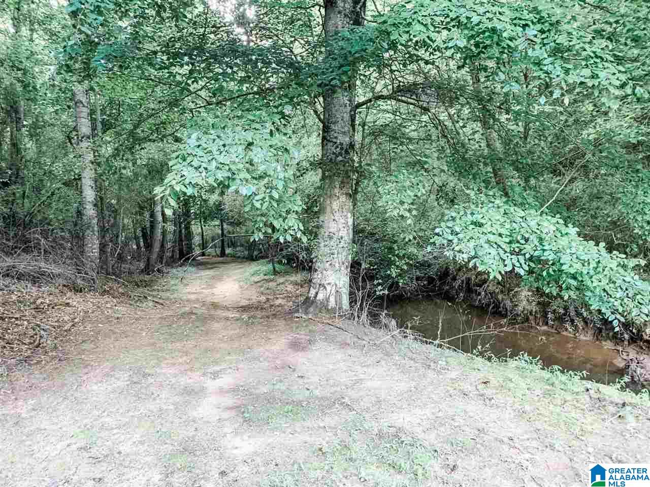 4000 County Road 20 Oneonta, AL 35121 - Photo 8 of 48