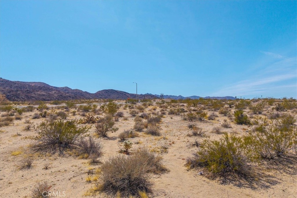 2323 29 Palms Highway Twentynine Palms, CA 92277 - Photo 15 of 26