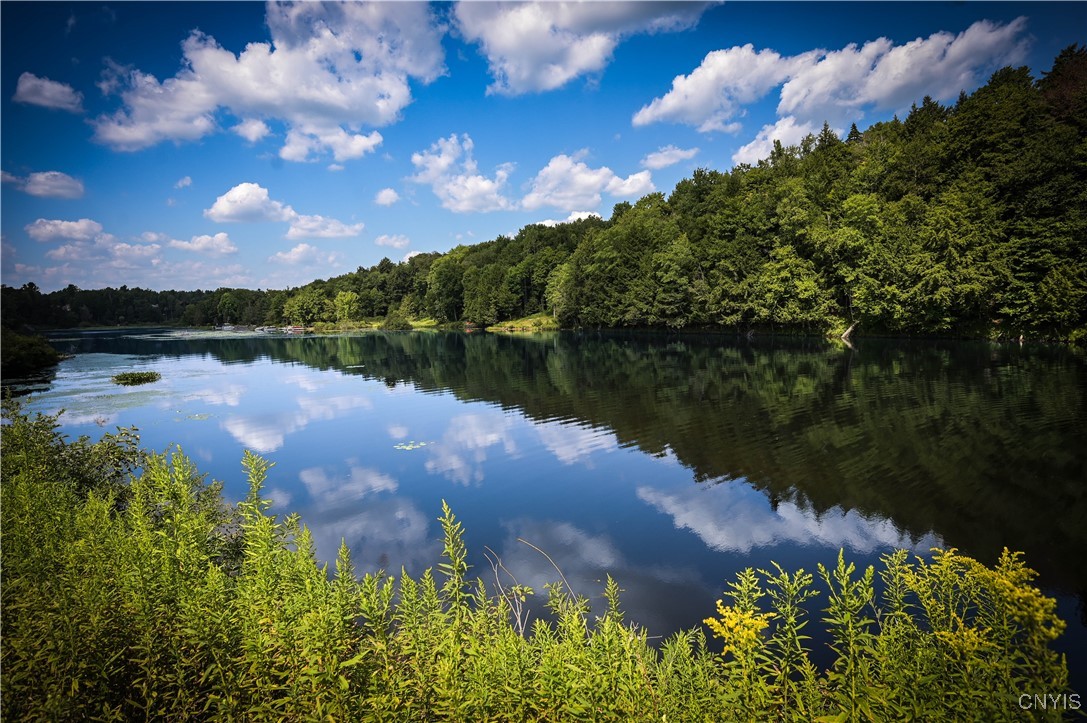 11452 Bellingertown Road Forestport, NY 13338 - Photo 10 of 33