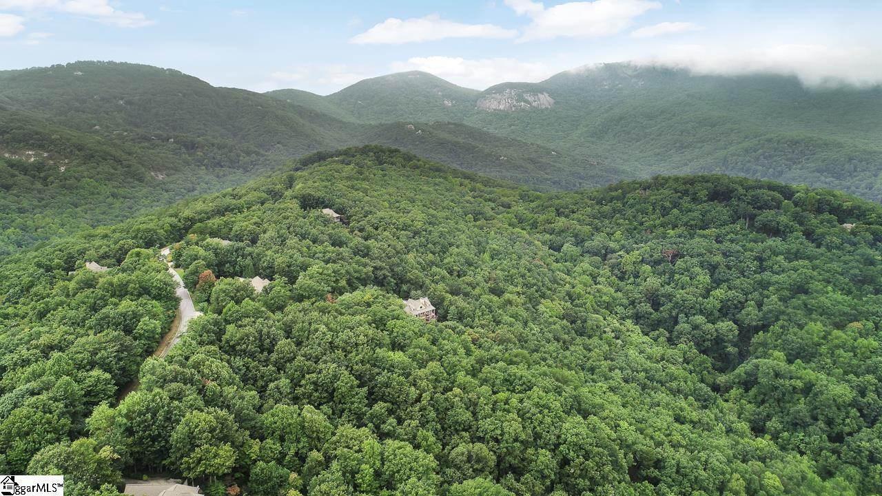 208 Eagle Rock Road Landrum, SC 29356 - Photo 14 of 15