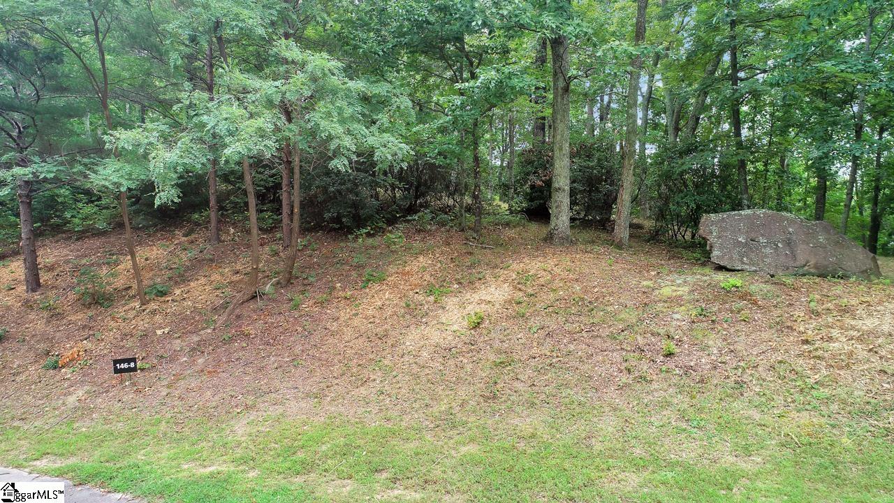 208 Eagle Rock Road Landrum, SC 29356 - Photo 3 of 15