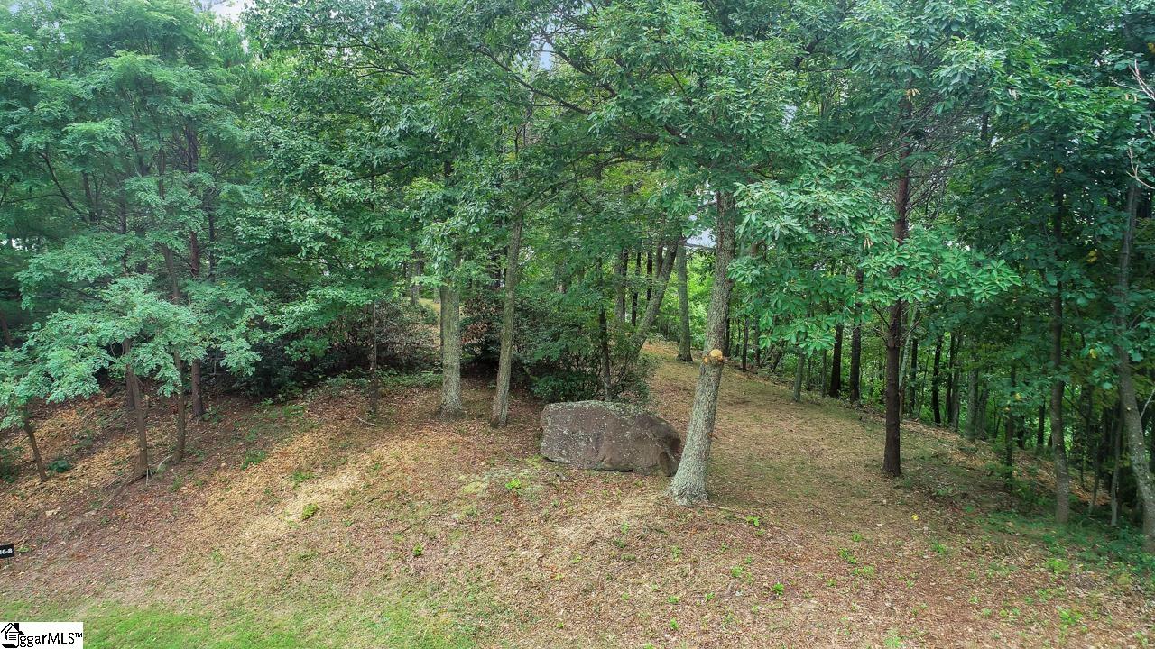 208 Eagle Rock Road Landrum, SC 29356 - Photo 4 of 15