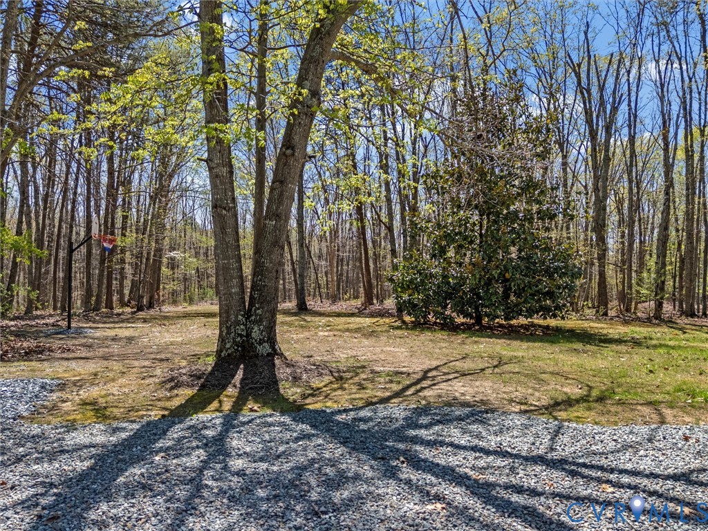 1339 Harris Creek Road Louisa, VA 23093 - Photo 37 of 46 a view of a backyard with large trees