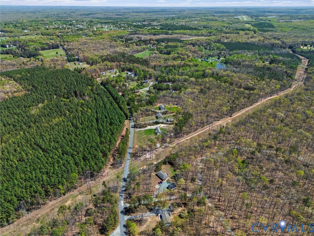 1339 Harris Creek Road Louisa, VA 23093 - Photo 41 of 46 a view of a city with lush green forest