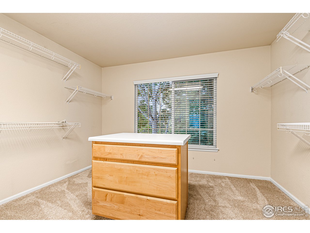 11714 North Beasly Road Longmont, CO 80504 - Photo 25 of 40