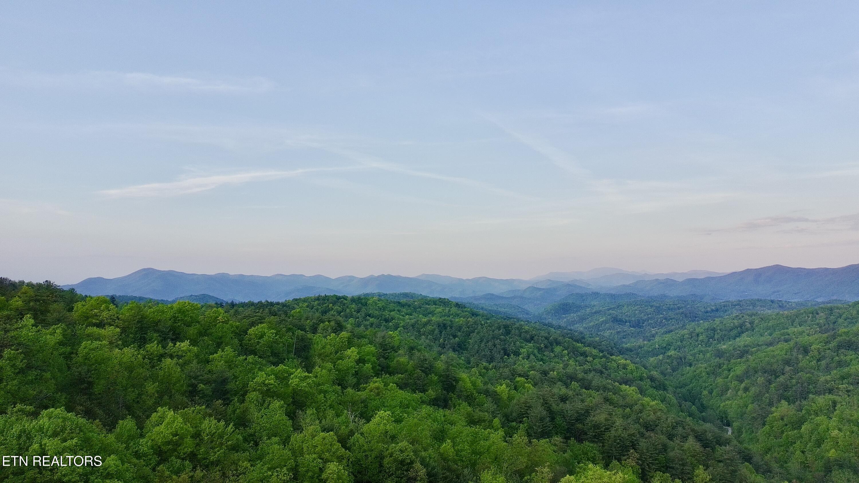 Potential View with clearing