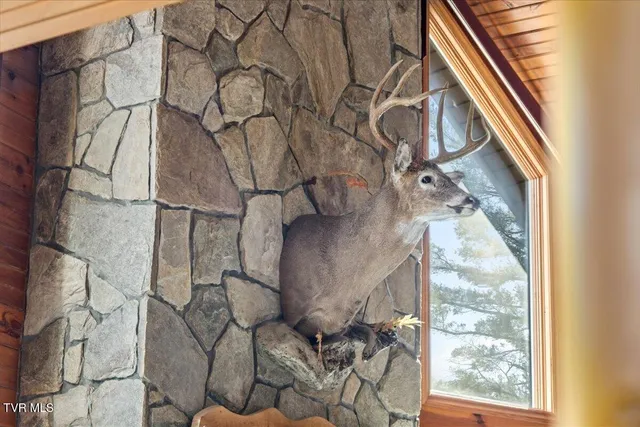 $749,000 | 620 Swift Hollow Lane, Mountain City, TN 37683