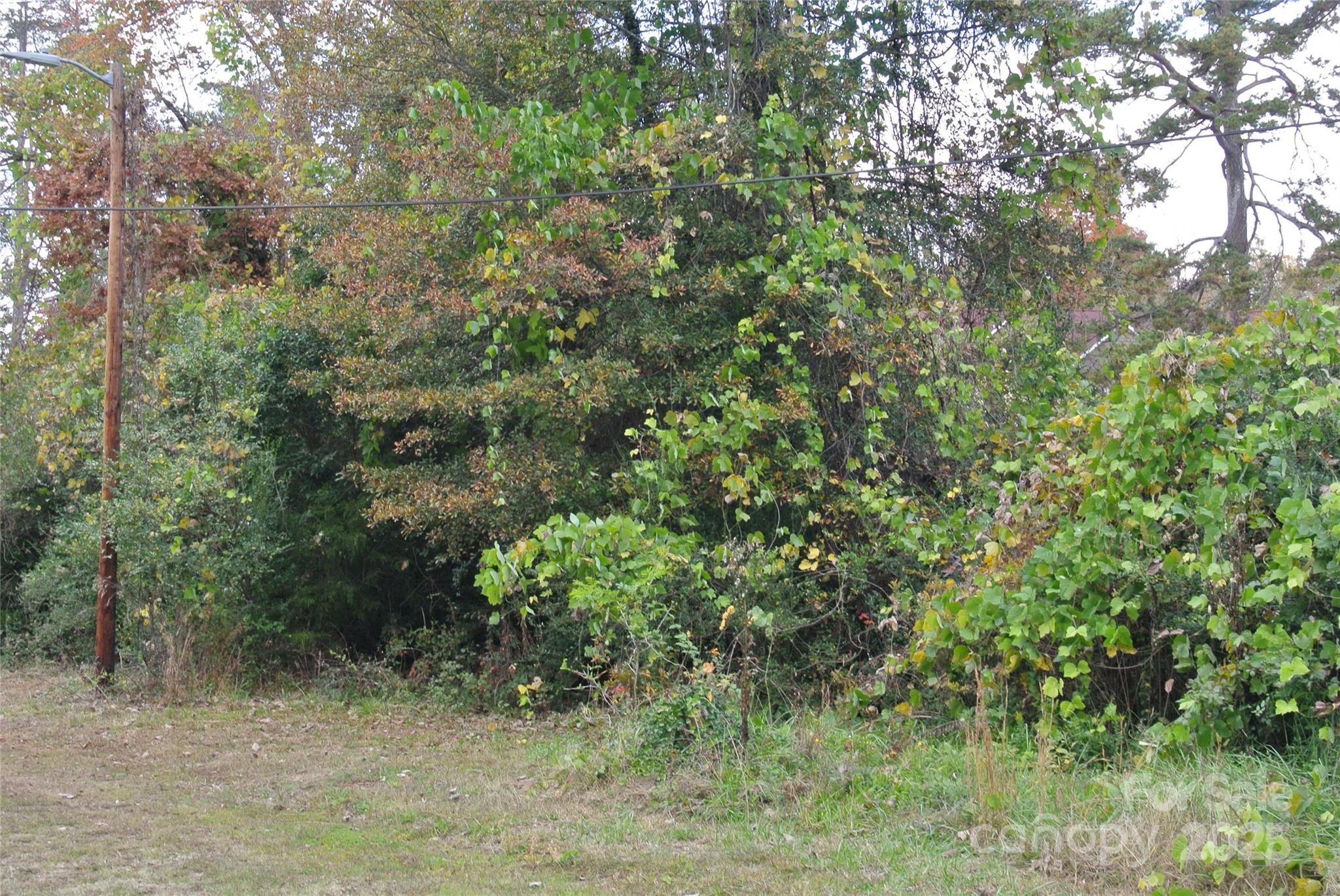 0 New Hope Road Rutherfordton, NC 28139 - Photo 2 of 3 a view of a forest with trees