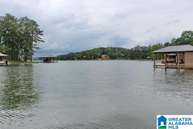 52 Cox Lane Alpine, AL 35014 - Photo 7 of 38 Gallery Image 7