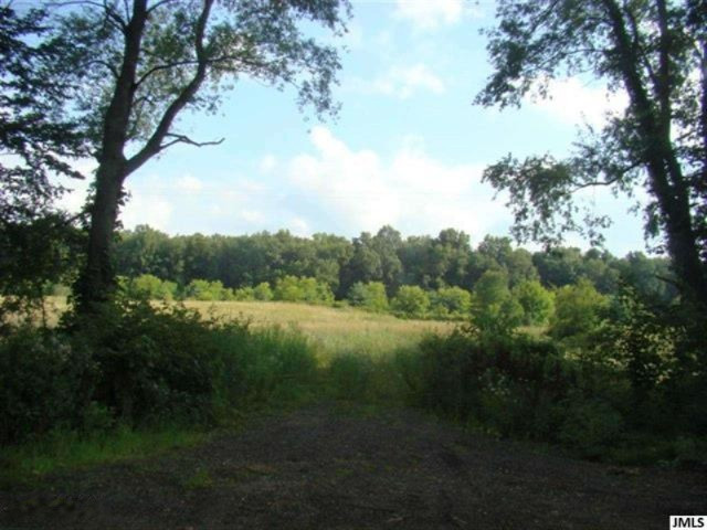 0 Folks Road Hanover, MI 49241 - Photo 1 of 10 JACKSONMLS20026924