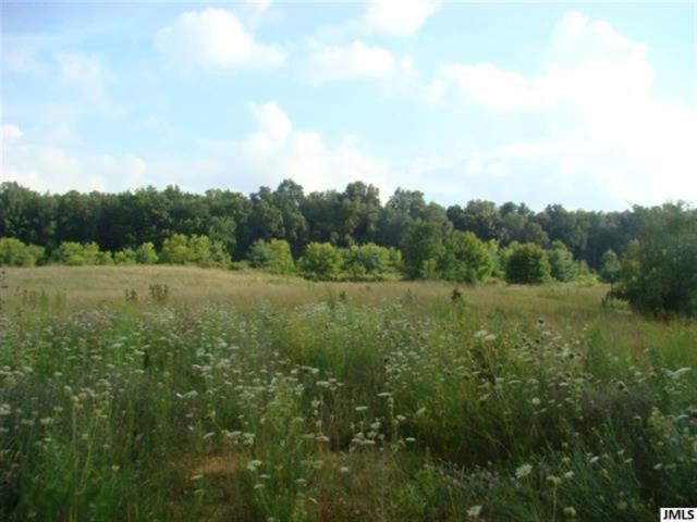 0 Folks Road Hanover, MI 49241 - Photo 2 of 10 JACKSONMLS20026924A