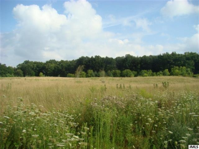 0 Folks Road Hanover, MI 49241 - Photo 3 of 10 JACKSONMLS20026924B