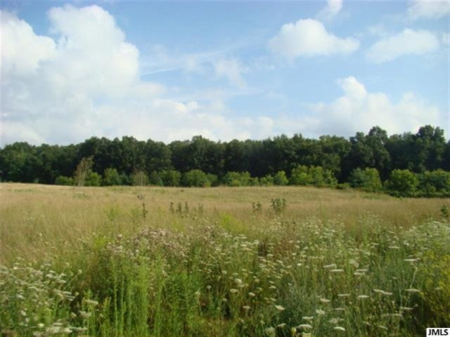 0 Folks Road Hanover, MI 49241 - Photo 4 of 10 JACKSONMLS20026924C