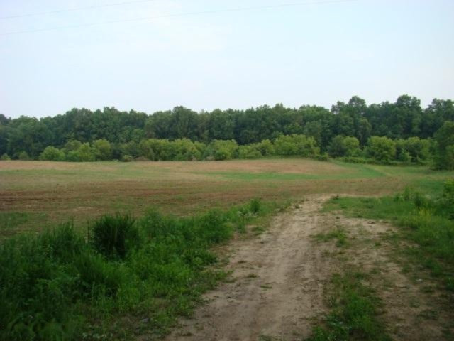 0 Folks Road Hanover, MI 49241 - Photo 9 of 10 JACKSONMLS20026924H