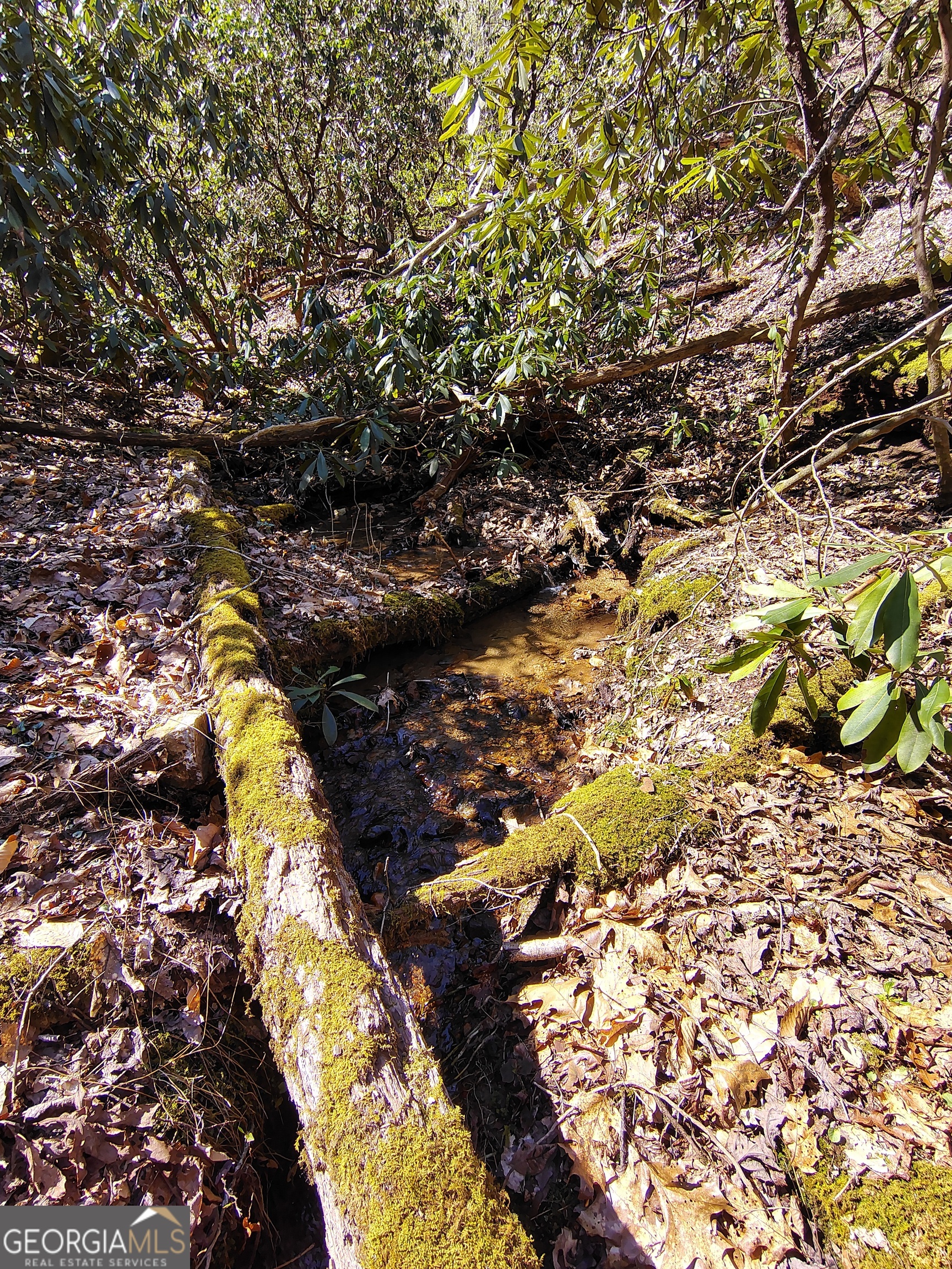 0 Ivy Rdg Way, Unit LOT 6 Clarkesville, GA 30523 - Photo 11 of 20