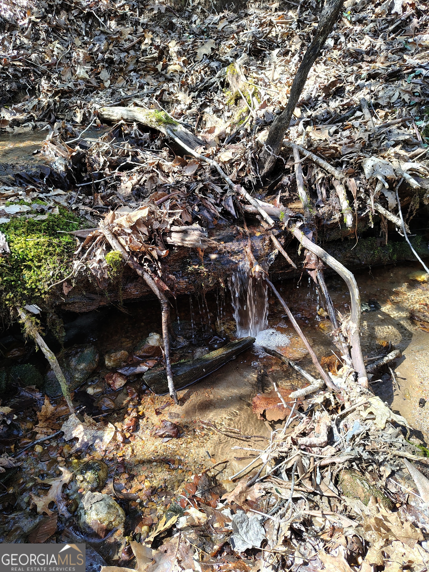 0 Ivy Rdg Way, Unit LOT 6 Clarkesville, GA 30523 - Photo 12 of 20