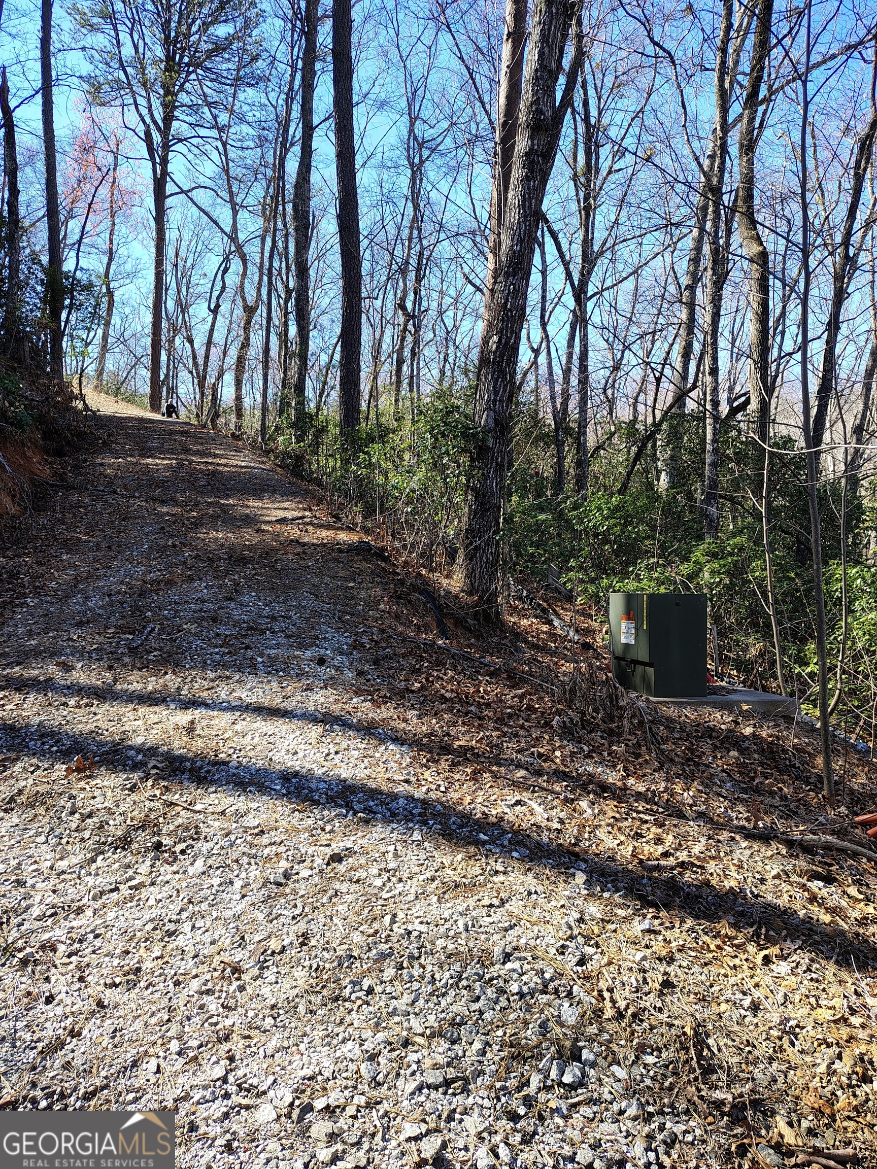 0 Ivy Rdg Way, Unit LOT 6 Clarkesville, GA 30523 - Photo 13 of 20