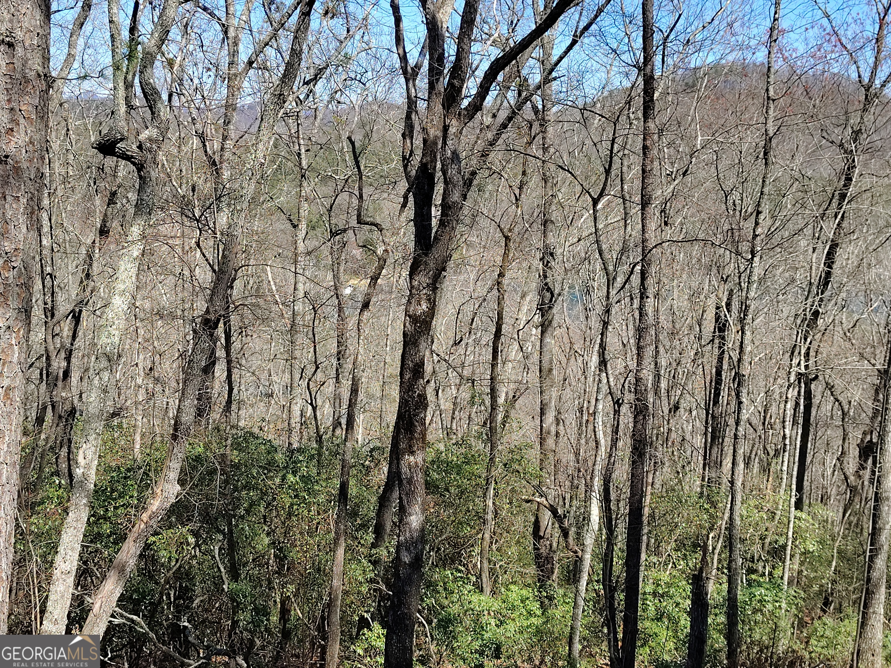 0 Ivy Rdg Way, Unit LOT 6 Clarkesville, GA 30523 - Photo 17 of 20