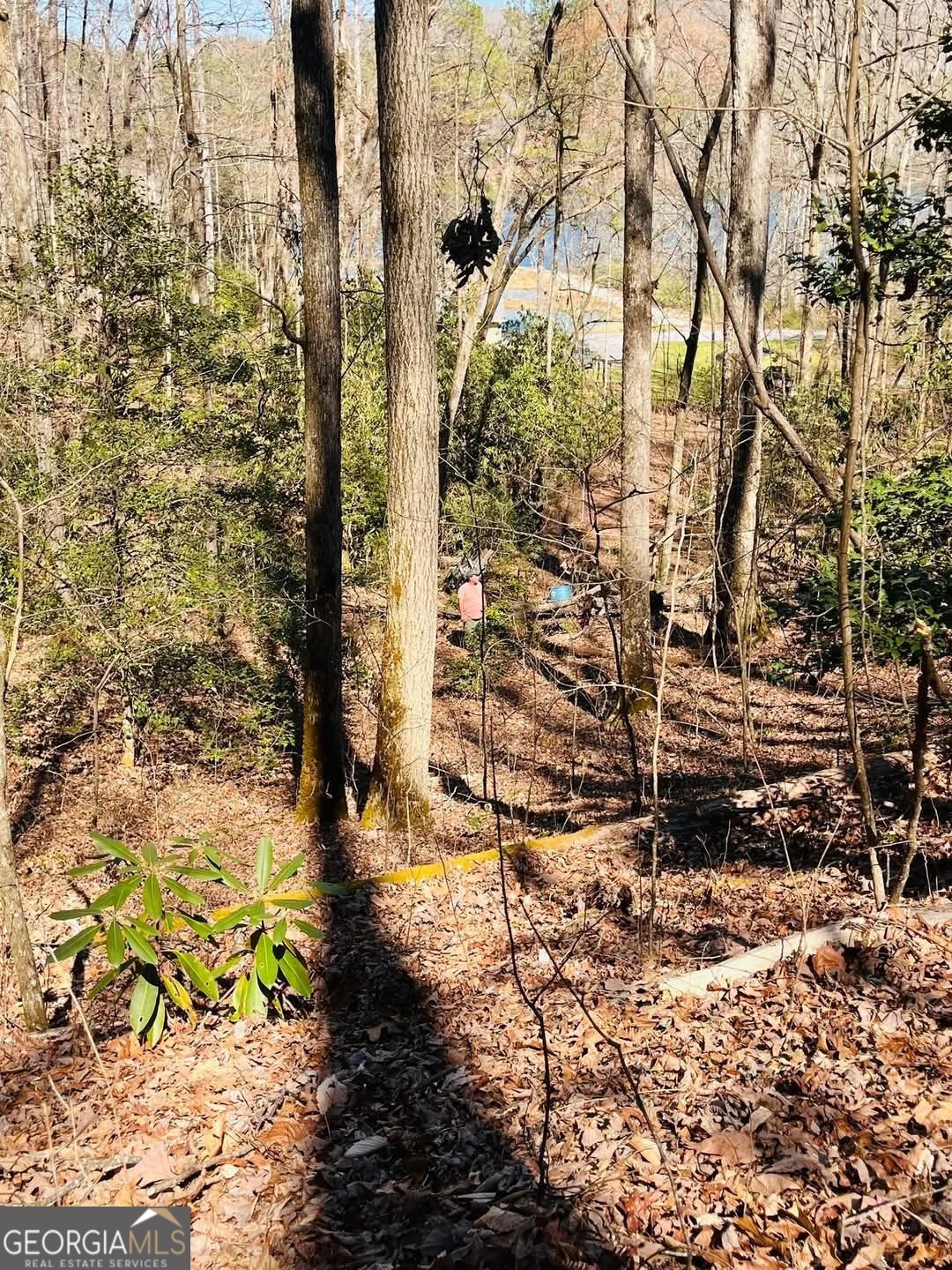 0 Ivy Rdg Way, Unit LOT 6 Clarkesville, GA 30523 - Photo 4 of 20