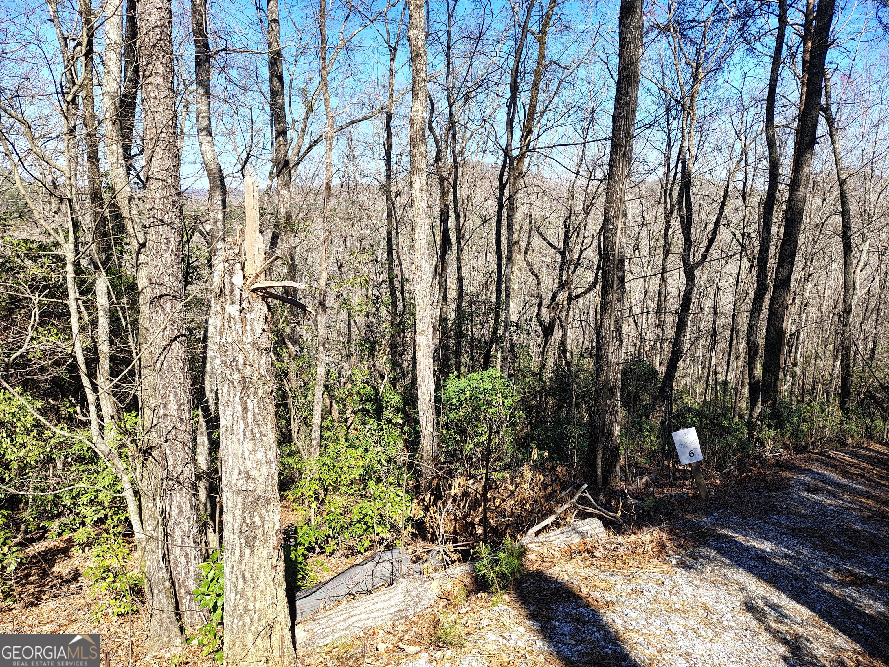 0 Ivy Rdg Way, Unit LOT 6 Clarkesville, GA 30523 - Photo 5 of 20