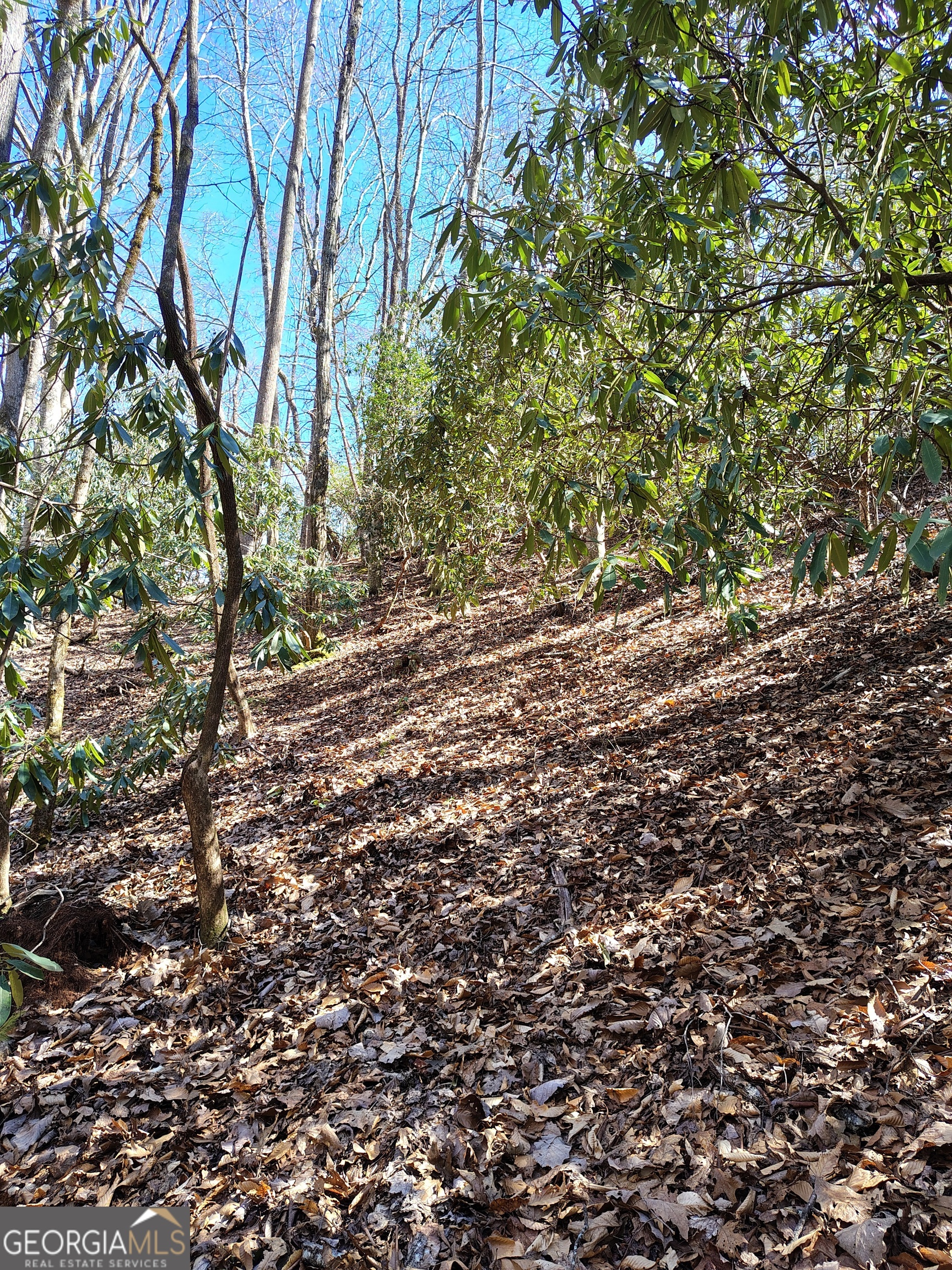 0 Ivy Rdg Way, Unit LOT 6 Clarkesville, GA 30523 - Photo 6 of 20