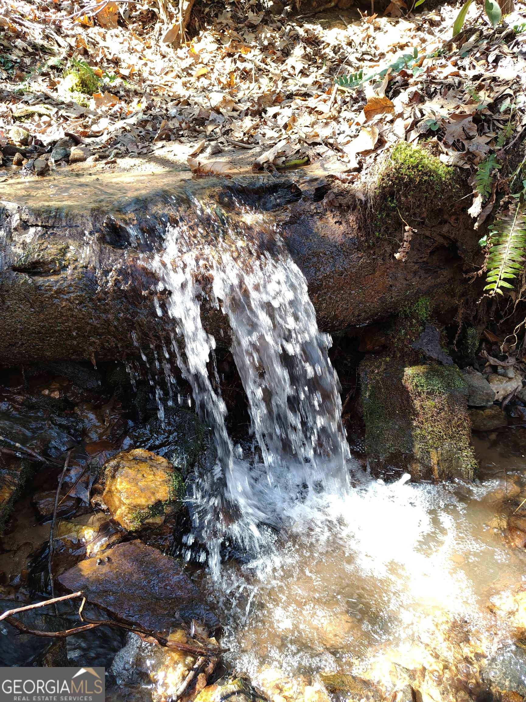 0 Ivy Rdg Way, Unit LOT 6 Clarkesville, GA 30523 - Photo 9 of 20