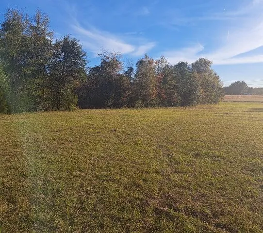 $55,000 | 1 Joby Lane, Eutawville, SC 29048