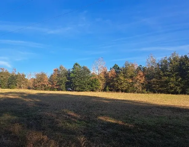 $55,000 | 1 Joby Lane, Eutawville, SC 29048