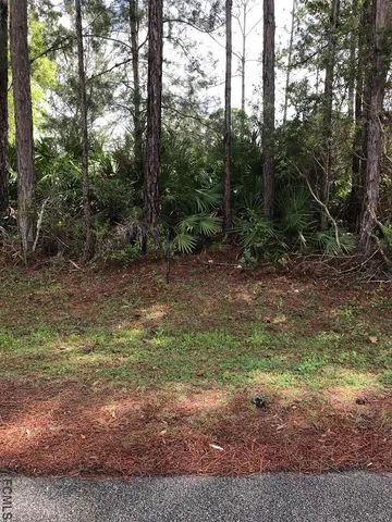 a view of a yard with plants and large trees