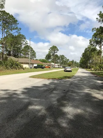 a close up of a plant