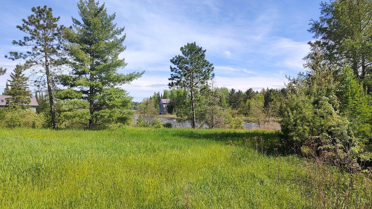 80048 Tamarack Trail Tower, MN 55790 - Photo 1 of 28