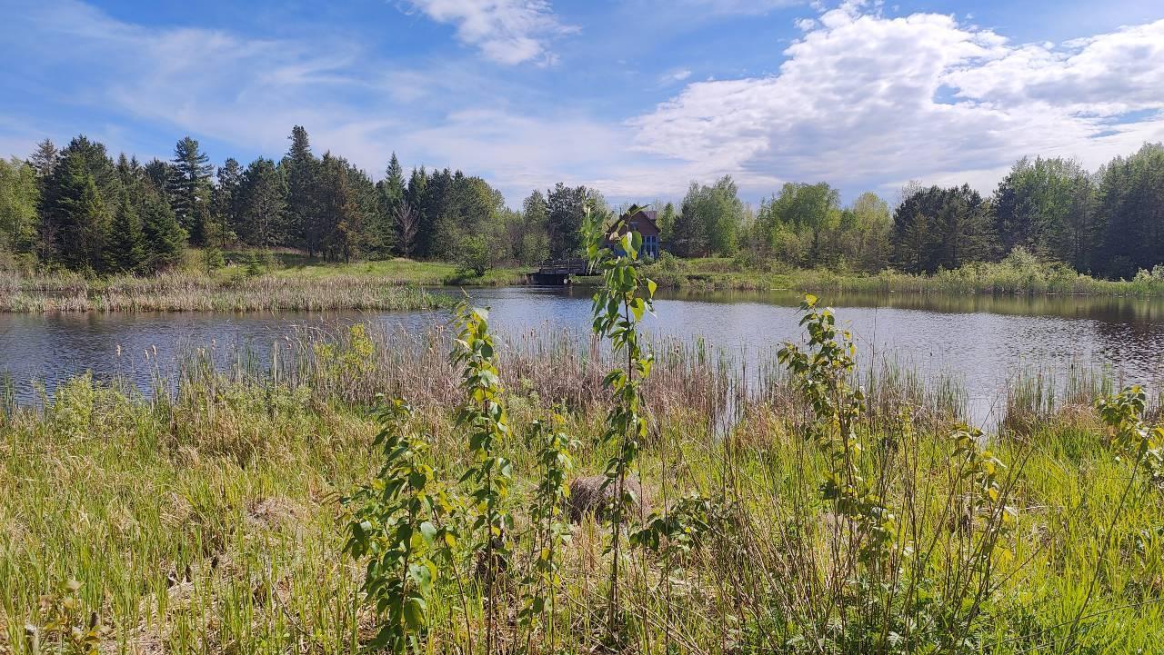 80048 Tamarack Trail Tower, MN 55790 - Photo 8 of 44