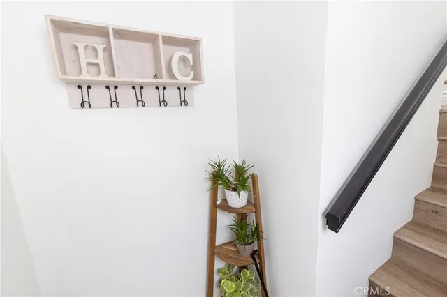 a close up of a wall with a potted plant