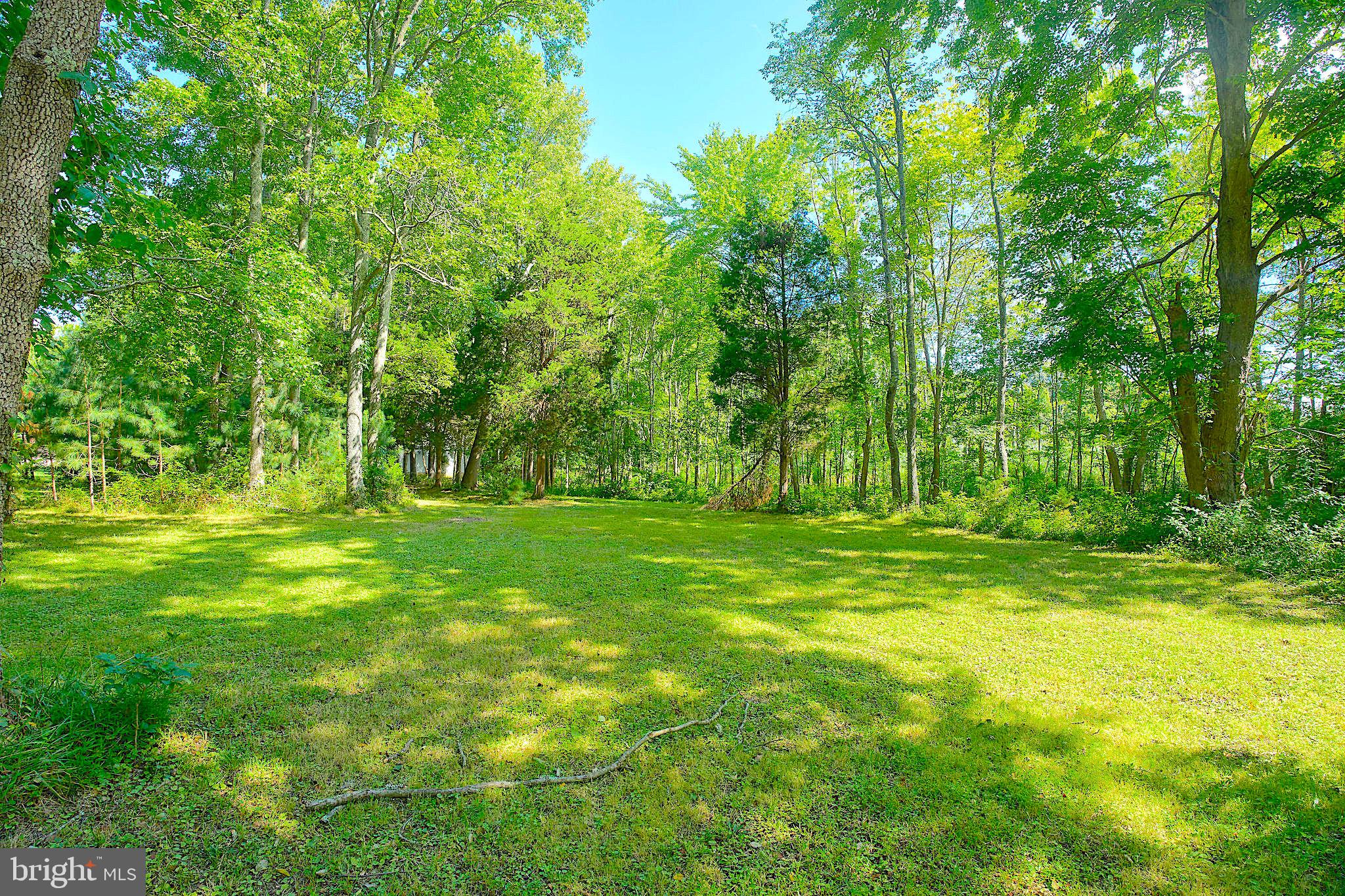 1056 Rodgers Road Churchton, MD 20733 - Photo 11 of 90 Park like setting