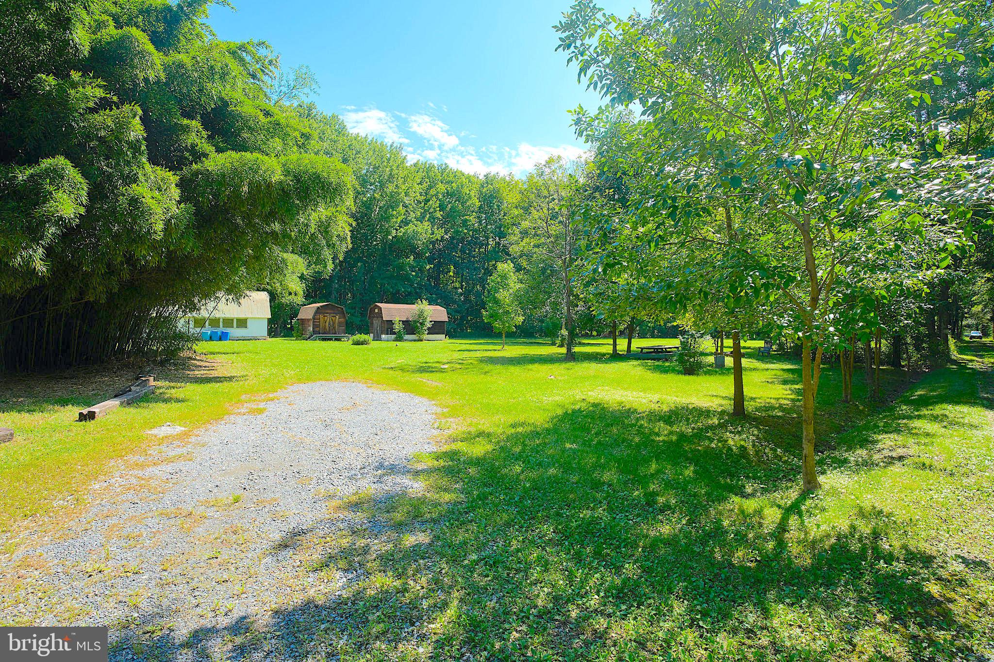 1056 Rodgers Road Churchton, MD 20733 - Photo 39 of 90 Western most corner of the property