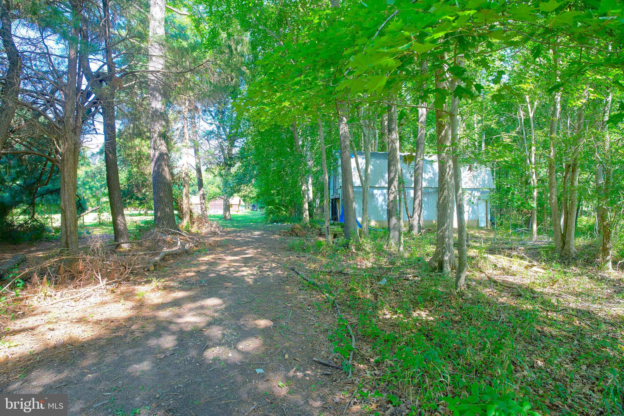 1056 Rodgers Road Churchton, MD 20733 - Photo 48 of 90 Storage shed on Western corner of 1056