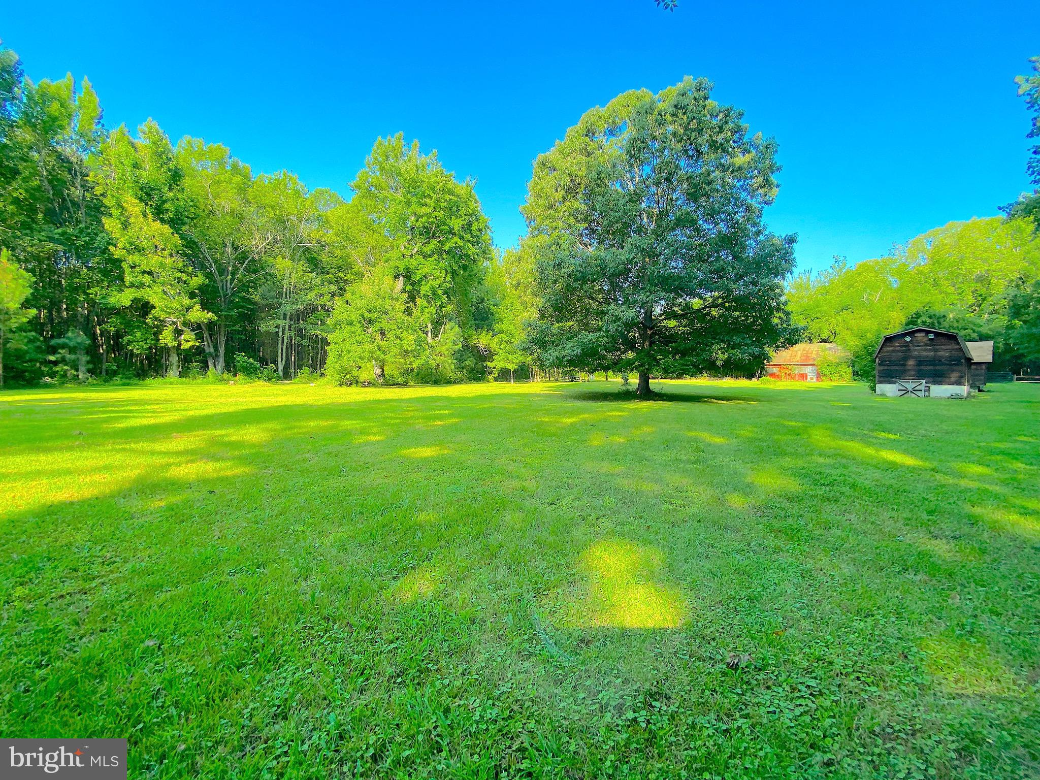 1056 Rodgers Road Churchton, MD 20733 - Photo 6 of 90 Park like setting