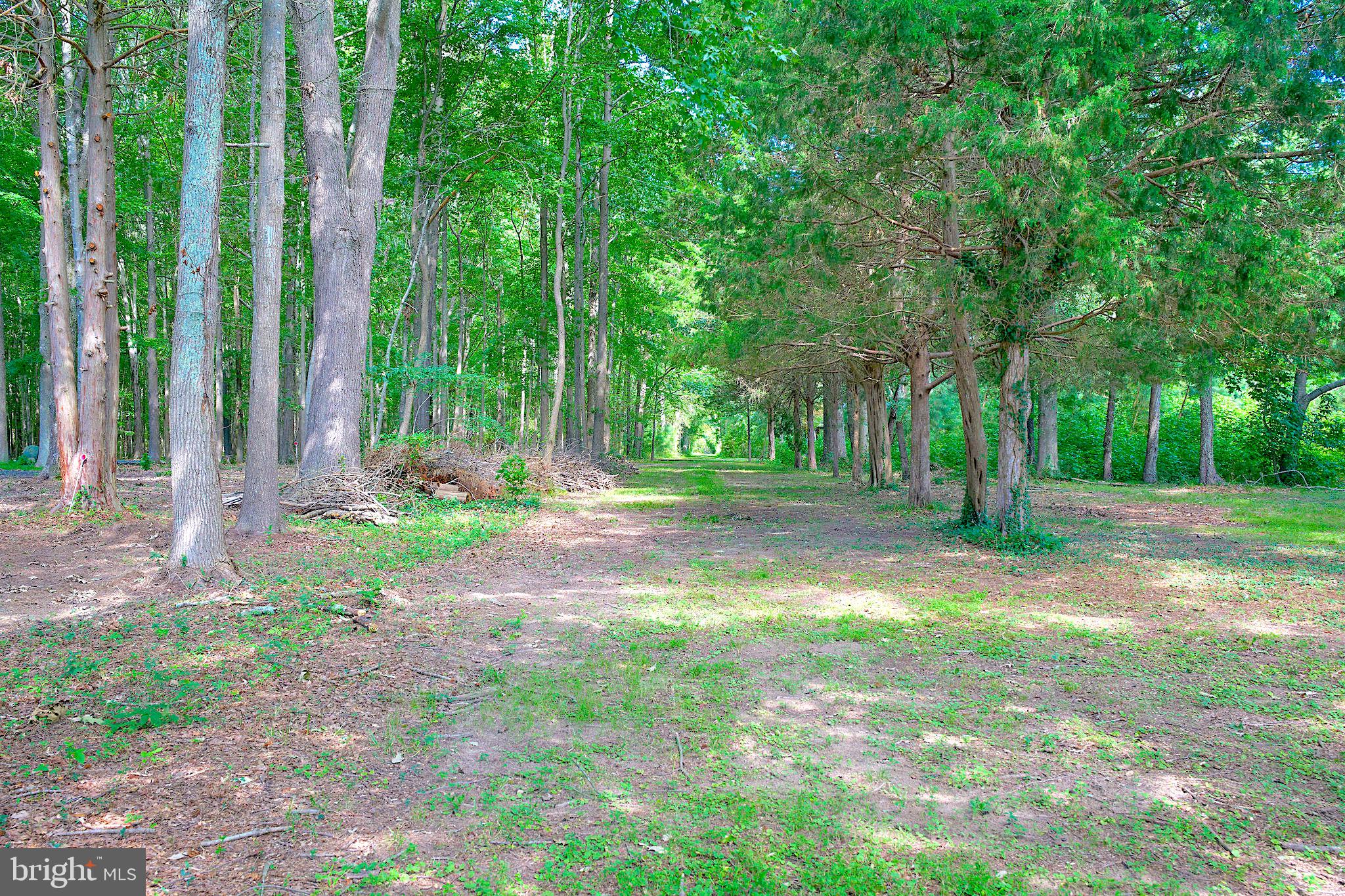 1056 Rodgers Road Churchton, MD 20733 - Photo 68 of 90 1062 S/E corner with back to the water