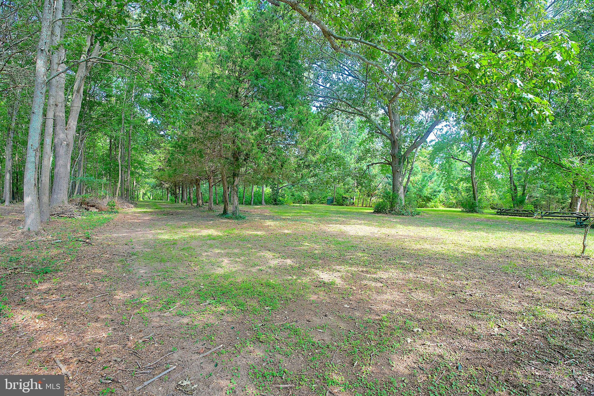 1056 Rodgers Road Churchton, MD 20733 - Photo 69 of 90 1062 S/E corner with back to the water