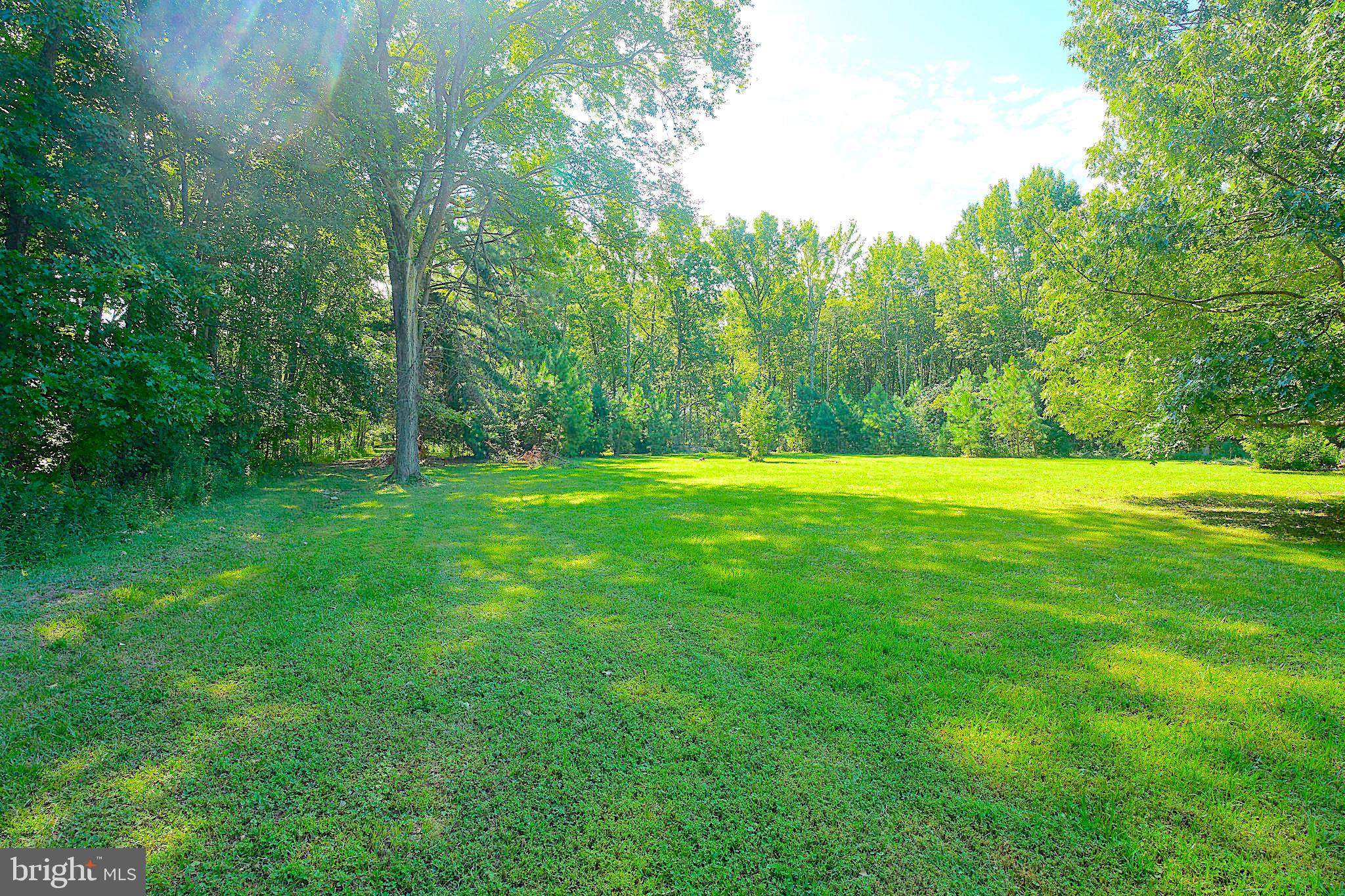 1056 Rodgers Road Churchton, MD 20733 - Photo 7 of 90 Expansive yard