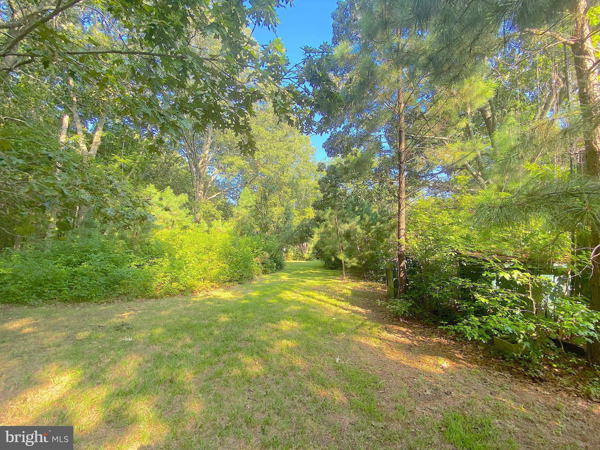 1056 Rodgers Road Churchton, MD 20733 - Photo 82 of 90 Back to the water close NE corner of 1062