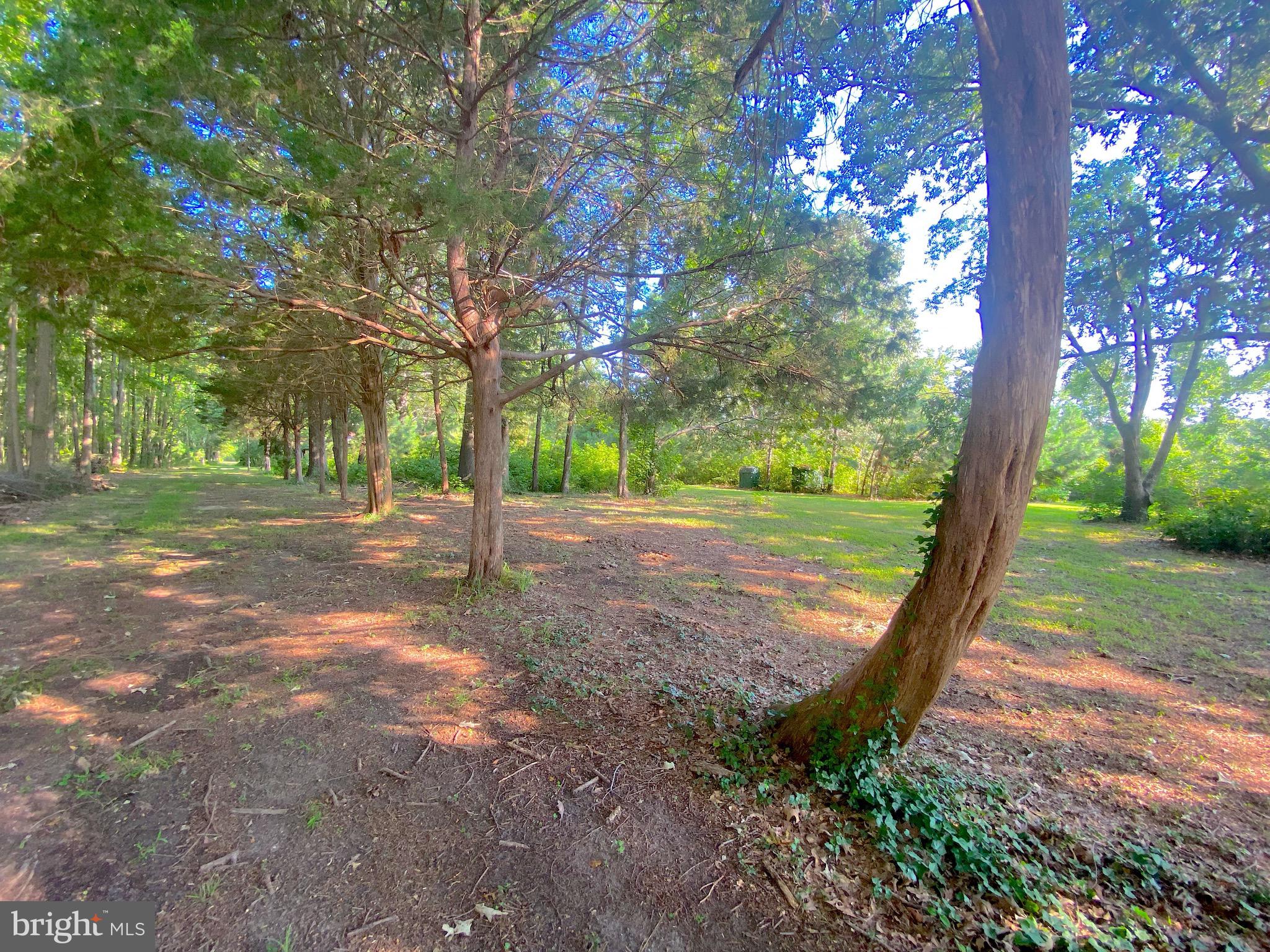 1056 Rodgers Road Churchton, MD 20733 - Photo 83 of 90 Back to the water close SE corner of 1062