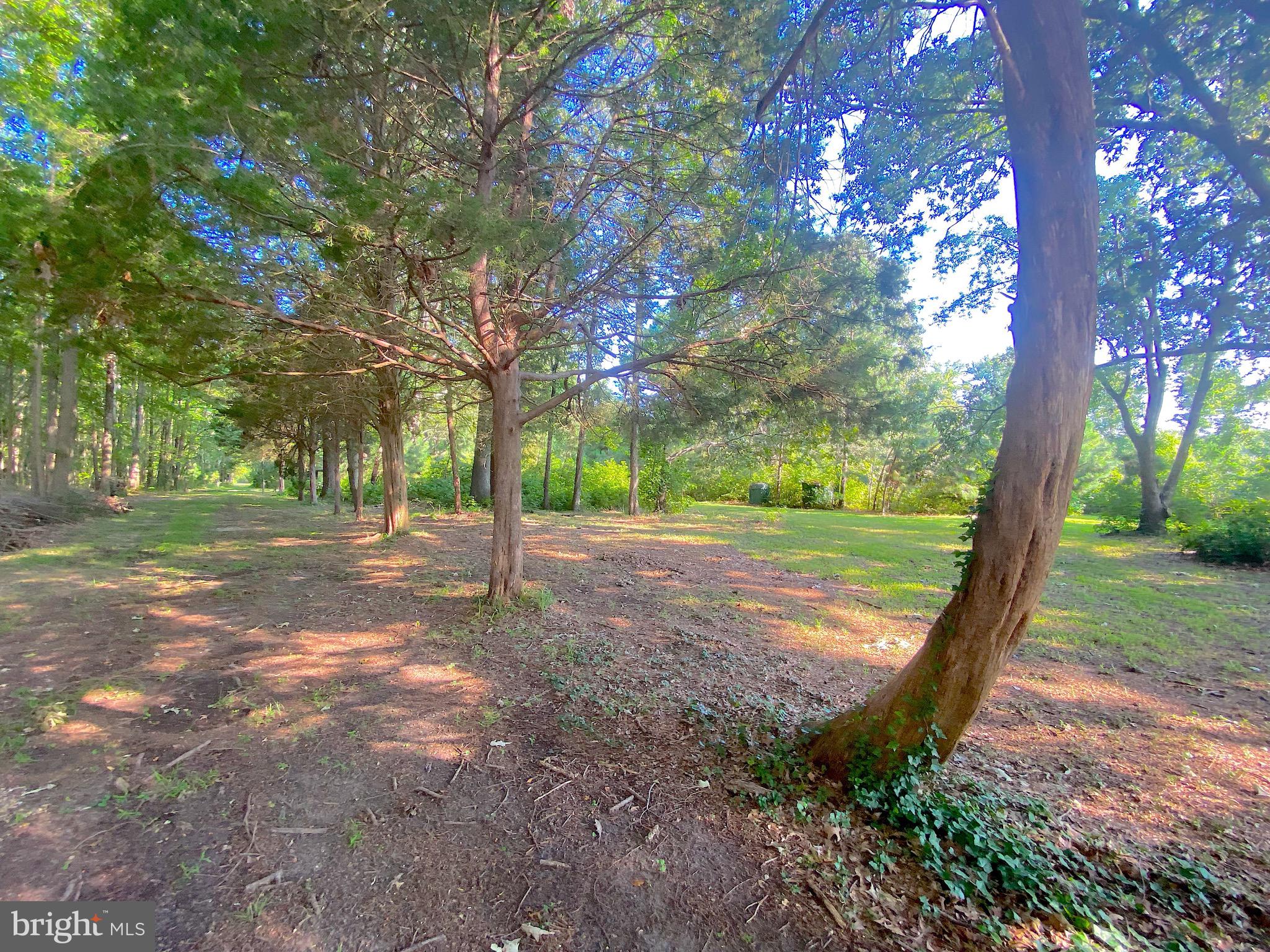 1056 Rodgers Road Churchton, MD 20733 - Photo 89 of 90 Back to the water close SE corner of 1062