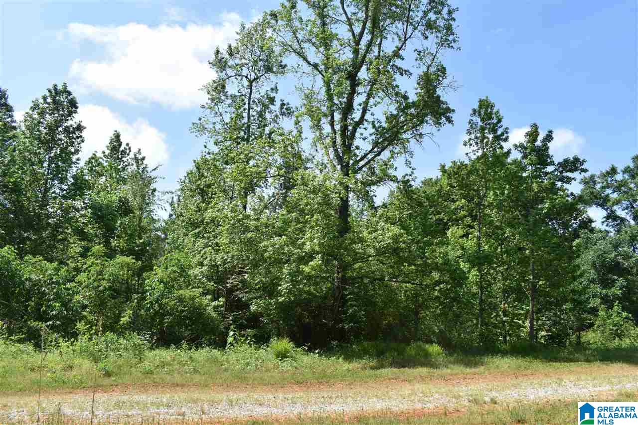 Lot 41 County Road 264, Unit RIVER BREEZE ESTATES Wedowee, AL 36278 - Photo 5 of 16
