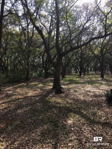 0 Sherman Road Foley, AL 36535 - Photo 3 of 8